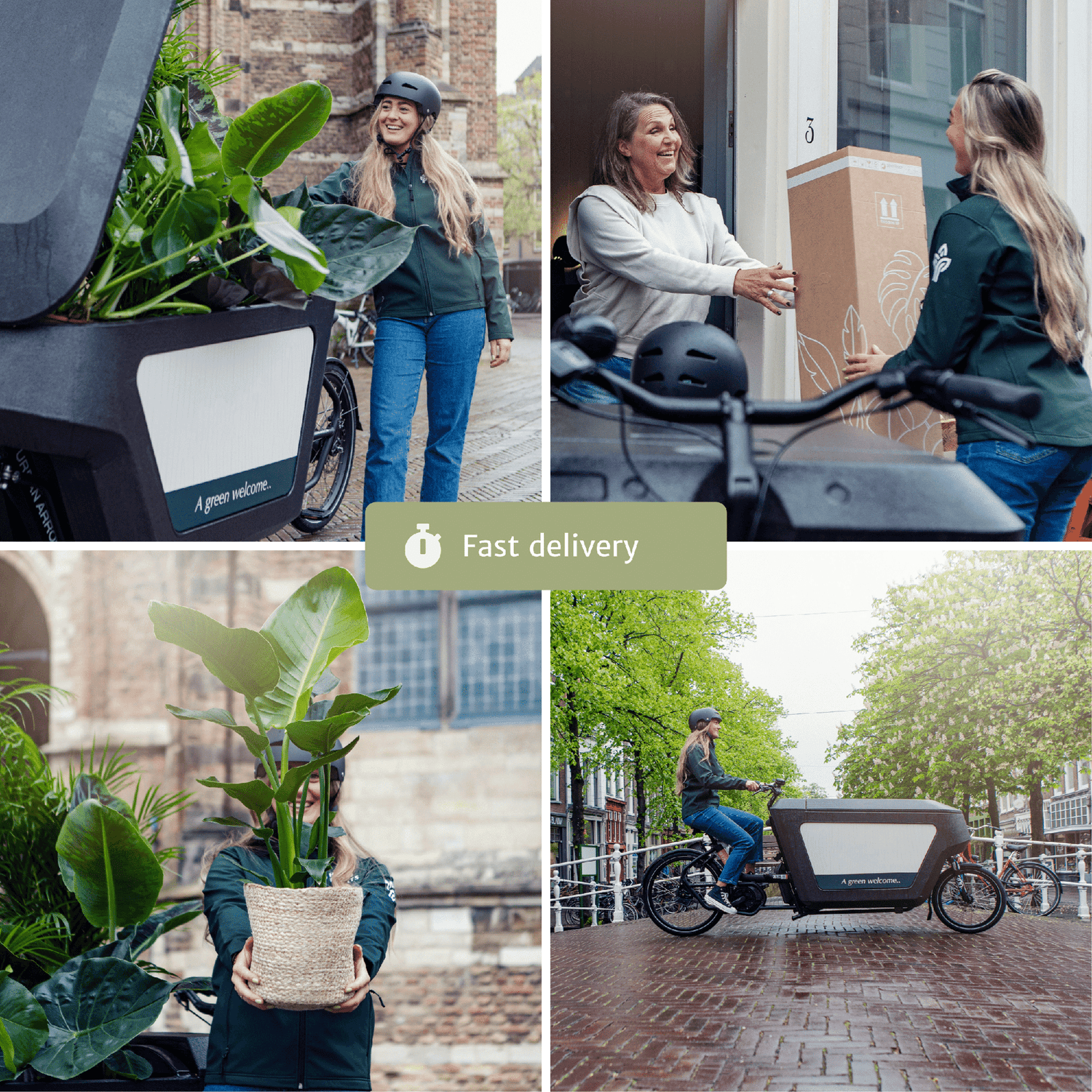 Makkelijke plant box - 4 kamerplanten - Verschillende hoogtes - Ć14-Ć17