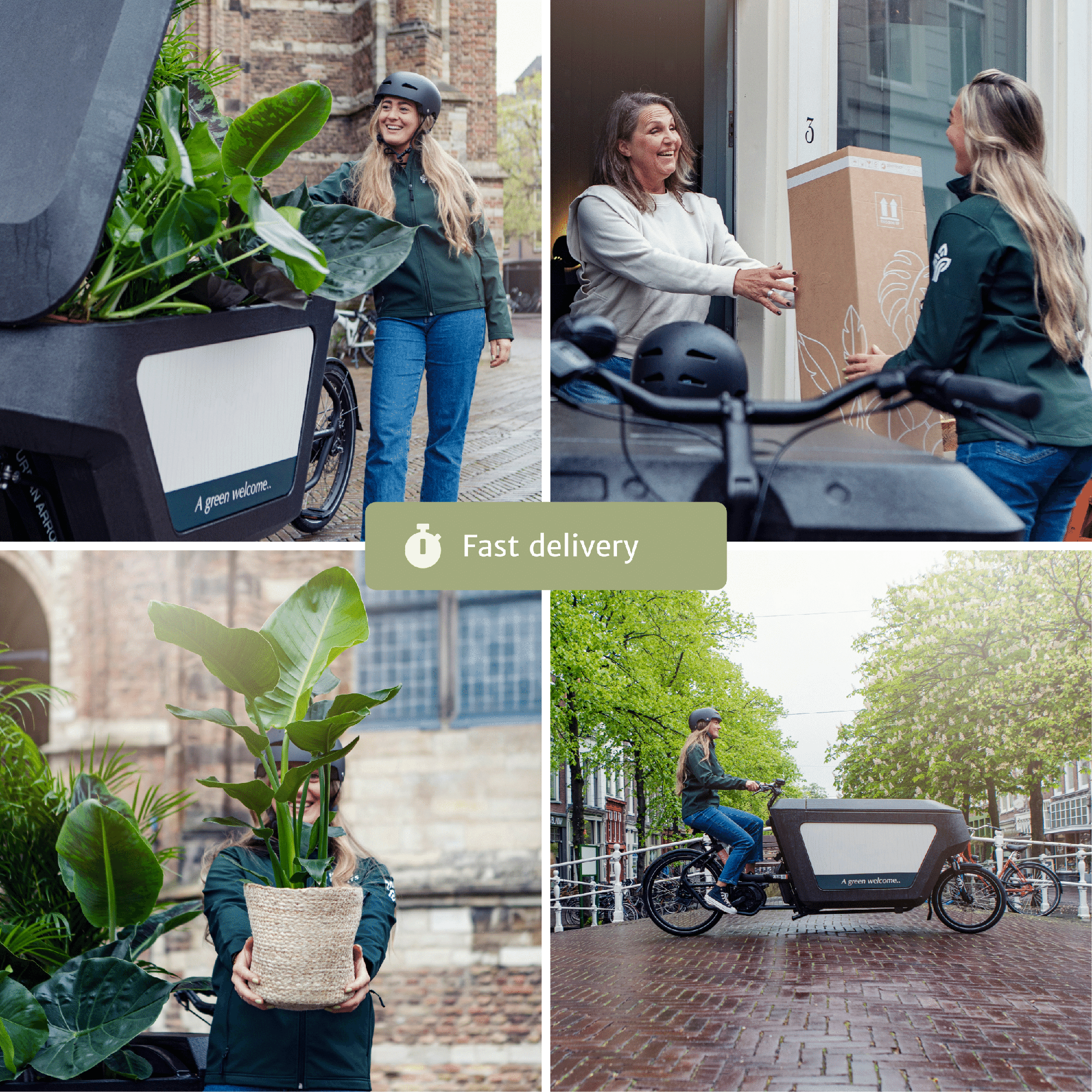 Makkelijke plant box - 4 kamerplanten - Verschillende hoogtes - Ć14-Ć17