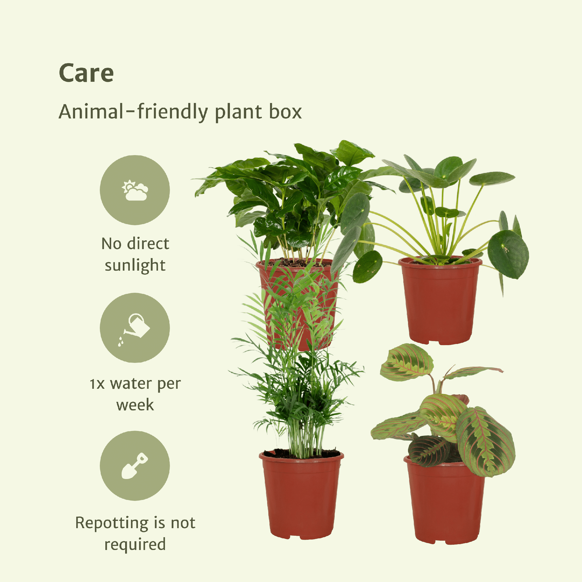 Diervriendelijke Plant Box - 4 stuks - Ø12cm - ↕20-40cm