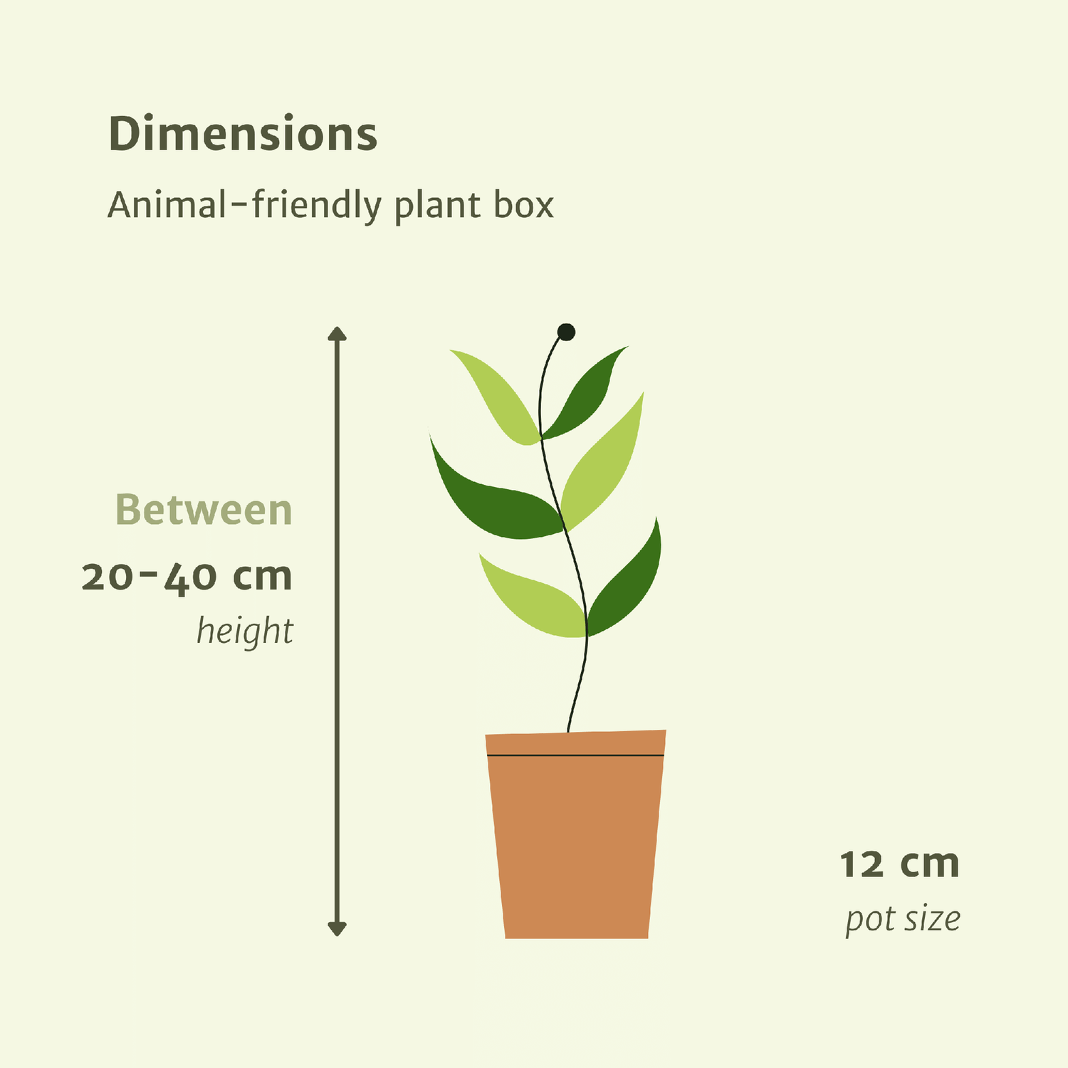 Diervriendelijke Plant Box - 4 stuks - Ø12cm - ↕20-40cm