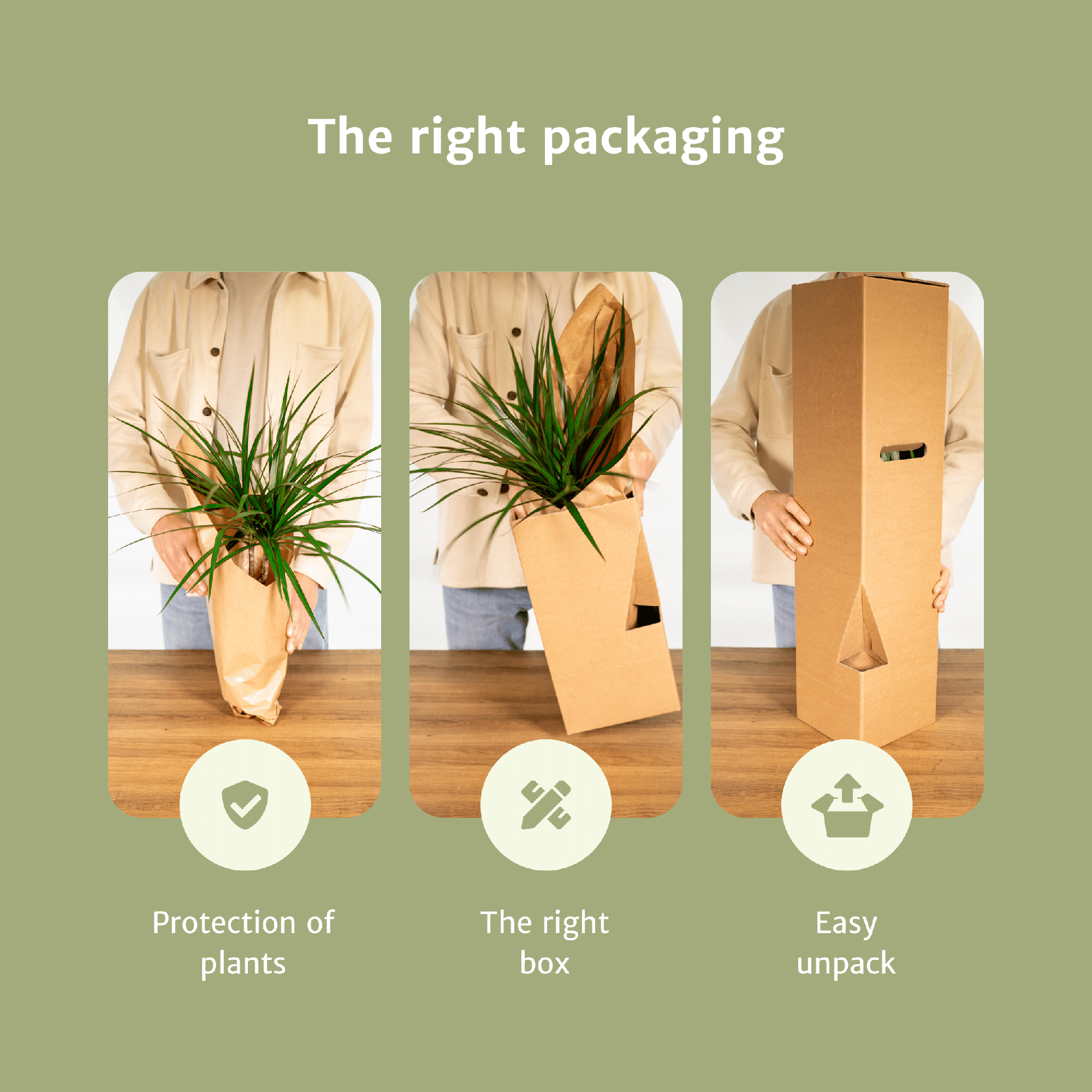 Diervriendelijke Plant Box - 4 stuks - Ø12cm - ↕20-40cm