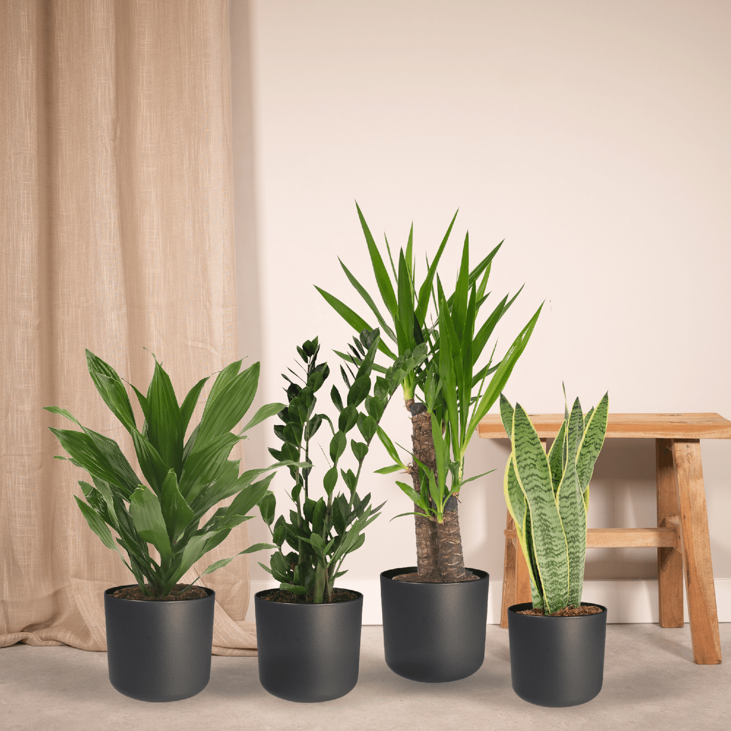 Makkelijke plant box - 4 kamerplanten - Verschillende hoogtes - Ć14-Ć17