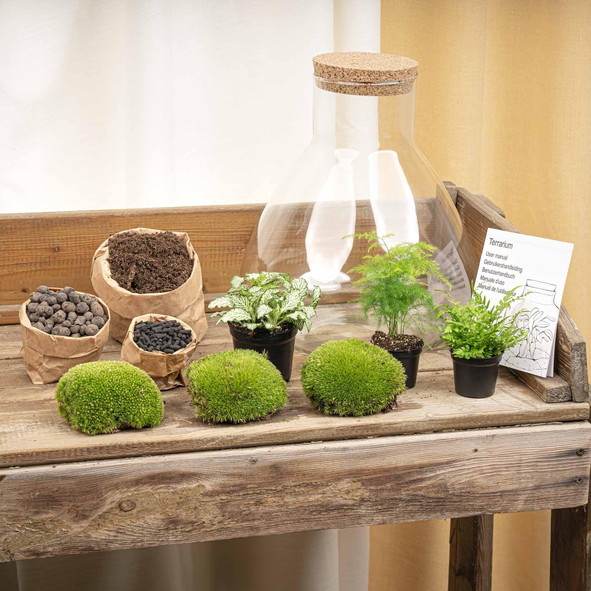 Terrarium - Sam XL + LED - ↑ 32 cm - DIY
