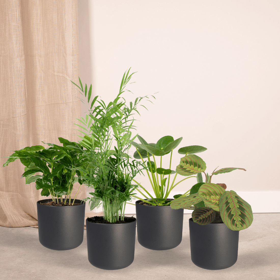 Diervriendelijke Plant Box - 4 stuks - Ø12cm - ↕20-40cm