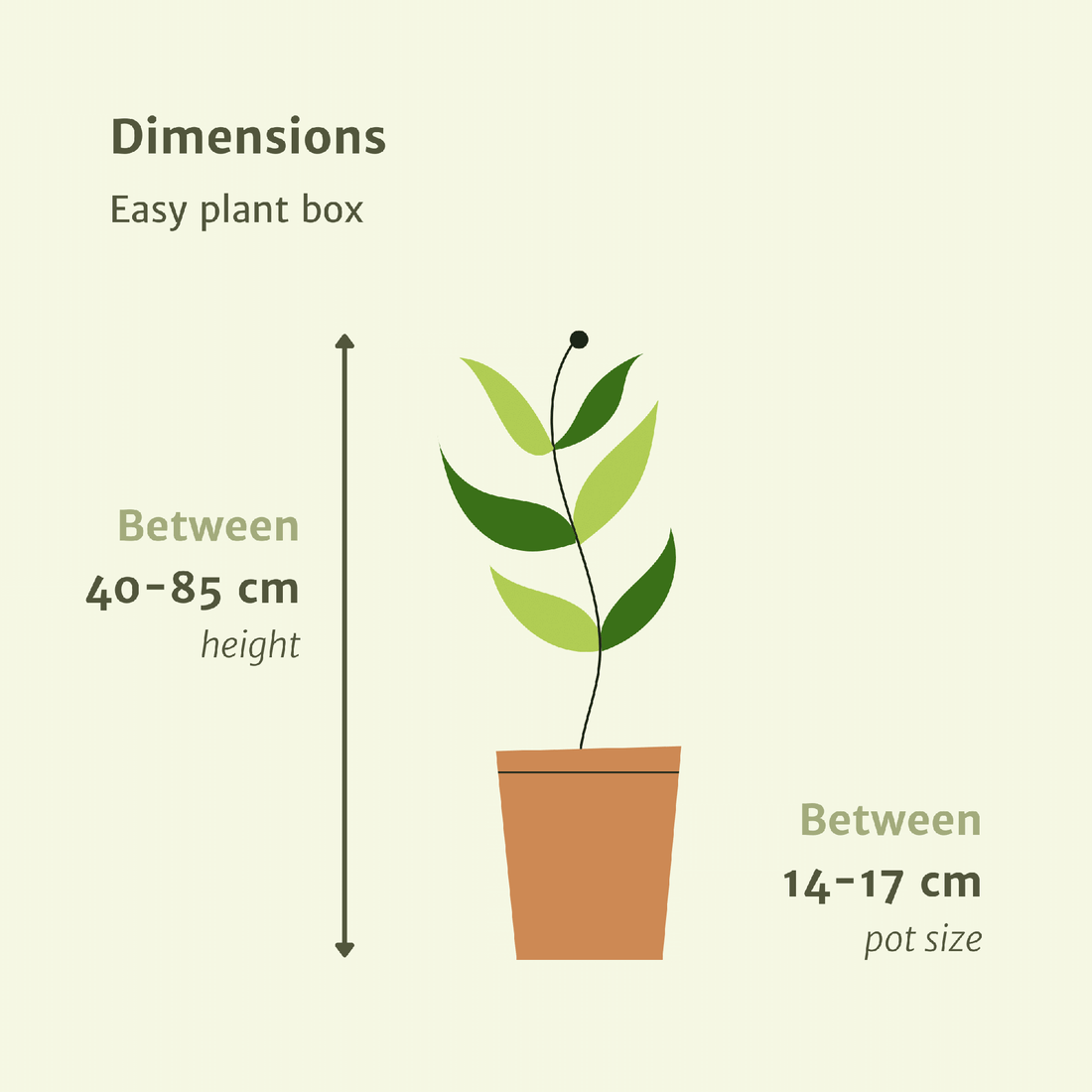 Makkelijke plant box - 4 kamerplanten - Verschillende hoogtes - Ø14-Ø17
